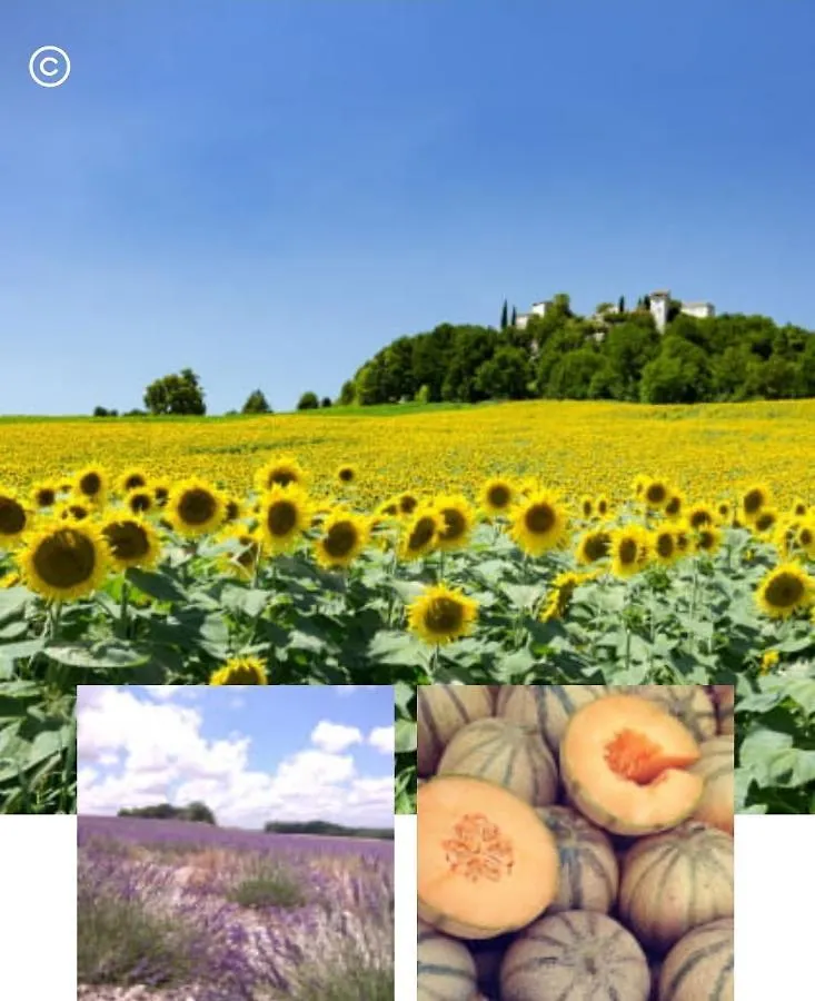 Bouzies Lot Valley Gite Francia